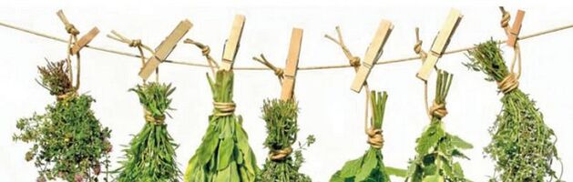 Efektyvios prostatito žolelės